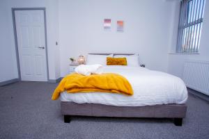 Cosy Executive City Apartment Accommodation image 2 Cosy Executive City Apartment image two