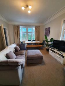 Spacious and Luminous Roundhay Gem Accommodation image 1 Spacious and Luminous Roundhay Gem image one