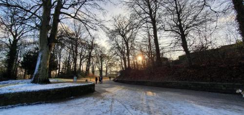 Spacious and Luminous Roundhay Gem Accommodation image 3 Spacious and Luminous Roundhay Gem image three