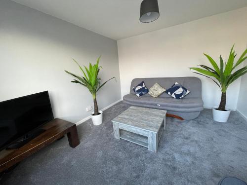 Light & Airy 3BR House in Great Location image three