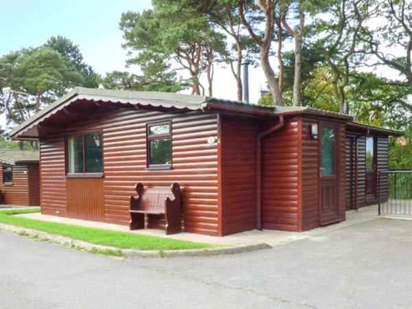 Snowdrop, Saltburn-by-the-Sea Accommodation image 1 Snowdrop, Saltburn-by-the-Sea image one