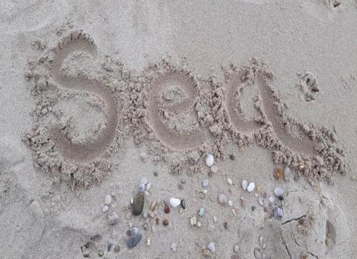 Sandy Feet Accommodation image 3 Sandy Feet image three