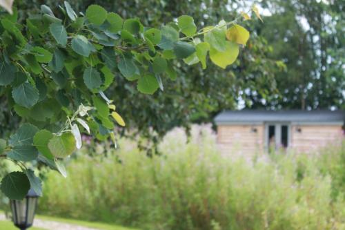 Luxury Shepherds Hut - The Moorhen by the lake Accommodation image 2 a Caravan & Camping in York