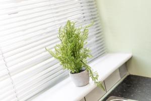 Stockton town centre studio apartments free parking and Wi-Fi image two