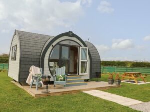 Bed & Breakfast Accommodation In Hull Page image 12 Picture of Poppy
