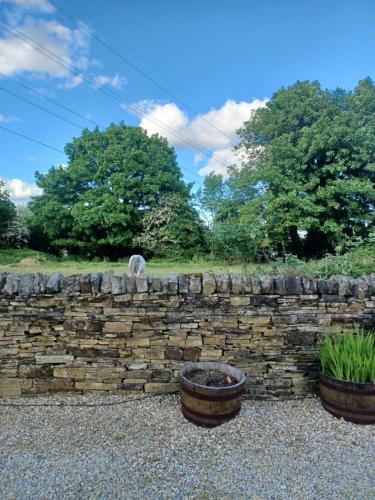 Adorable 1 bedroom guest house with free parking Accommodation image 3 Adorable 1 bedroom guest house with free parking image three
