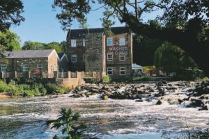 Picture of Artist's Riverside Home