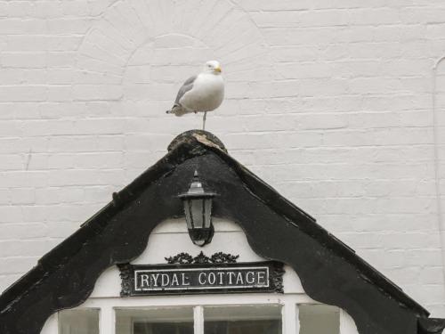 Rydal Cottage Accommodation image 3 Rydal Cottage image three