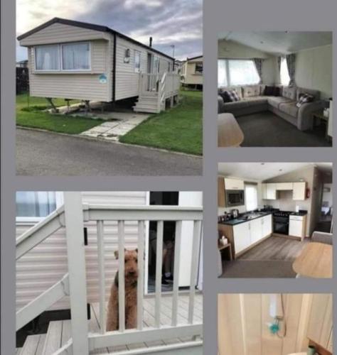 FABULOUS 4 BERTH CARAVAN FOR RENT- Dog Friendly -fees apply Accommodation image 1 FABULOUS 4 BERTH CARAVAN FOR RENT- Dog Friendly -fees apply image one