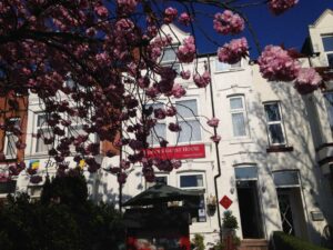 Picture of Robyn's Guest House