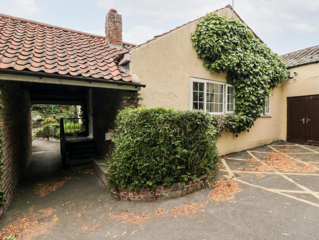 Ivy Accommodation image 1 Ivy image one