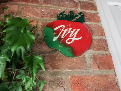 Ivy Accommodation image 3 Ivy image three