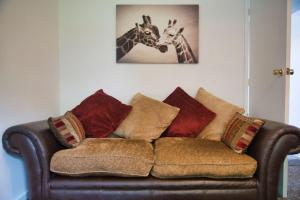 K Suites - Harrogate Terrace Accommodation image 2 K Suites - Harrogate Terrace image two