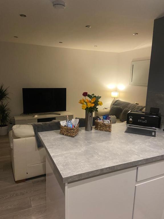 Spacious one bed ground floor apartment image one