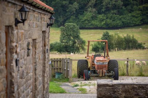 Rawcliffe House Farm Accommodation image 3 Rawcliffe House Farm image three