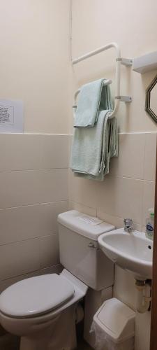 Bed and Breakfast Ashfield Accommodation image 3 Bed and Breakfast Ashfield image three