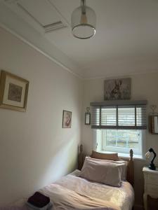 The Little Hideaway - Historic Gem off Haworth Main Street image two