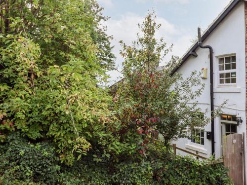 Tate Cottage Accommodation image 3 Tate Cottage image three