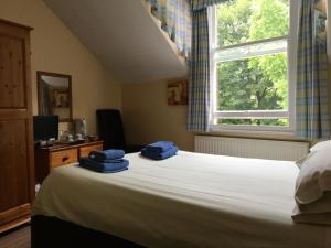 Burton Villa Guest House image two