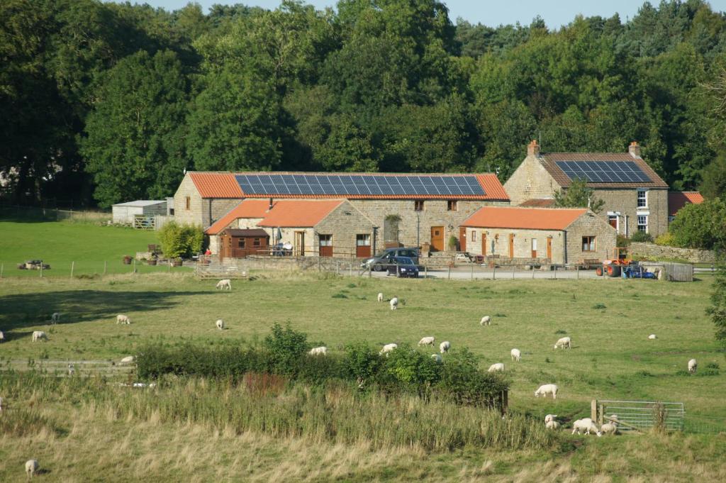 Rawcliffe House Farm Accommodation image 1 Rawcliffe House Farm image one