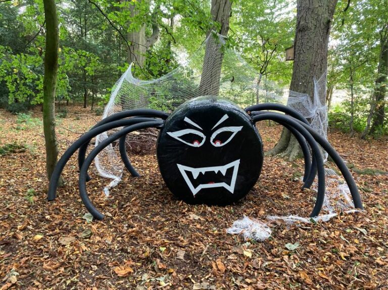 Hay-bale-spider-Kiplin-Hall-and-Gardens-768x574-1 Image name Hay bale spider Kiplin Hall and Gardens 768x574 1 the 14 image from the post Halloween in Yorkshire 2022 in Yorkshire.com.