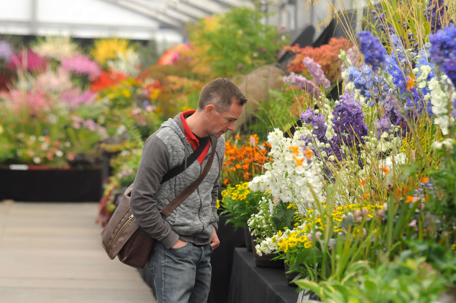 Image name autumn visitor the 15 image from the post Autumn is the time to plan the perfect garden! in Yorkshire.com.