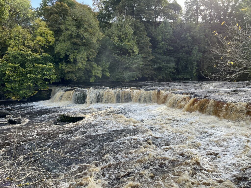 Aysgarth Falls Tourist Information Centre Visitor Attraction image 1 Aysgarth Falls in October 2022 following heavy rain