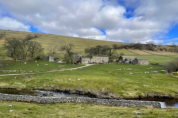 Image name bb the 5 image from the post Private "All Creatures Great and Small" Yorkshire Dales Tour from Leeds in Yorkshire.com.