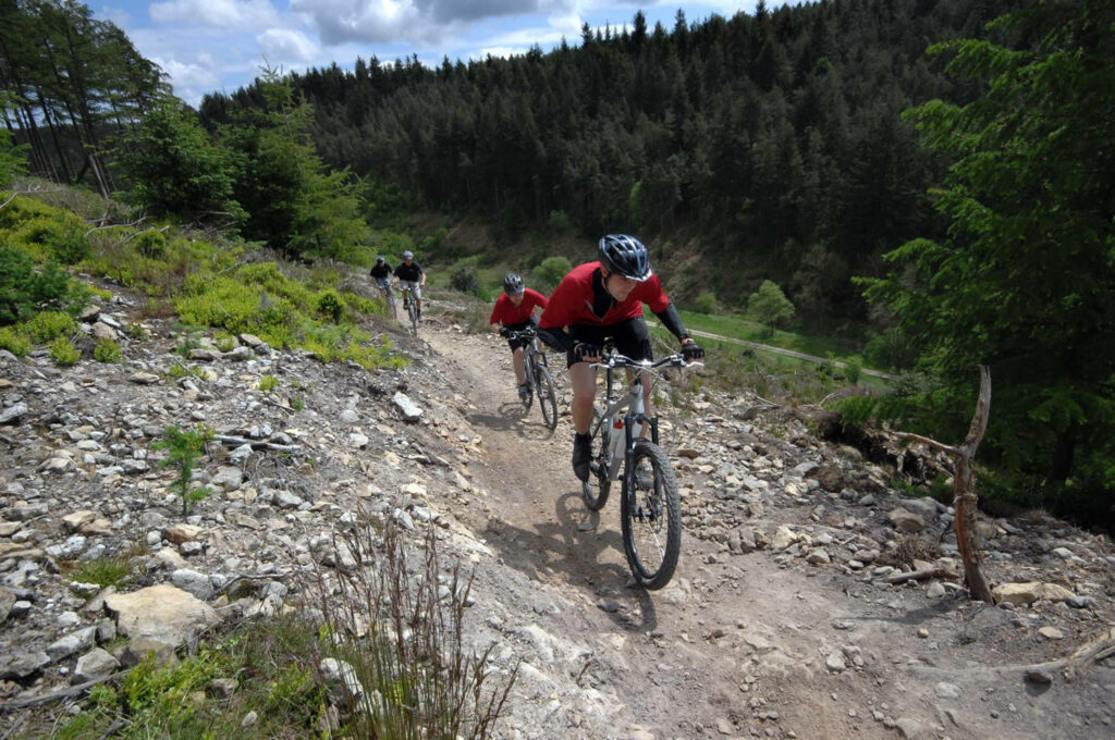Mountain Biking in Yorkshire - MTB Trails & Routes Post image 2 mountain bikes in Dalby Forest