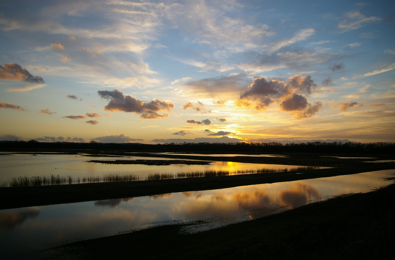 Image name potteric carr sunset 1 na the 18 image from the post Wildlife Habitats and Reserves in Yorkshire.com.