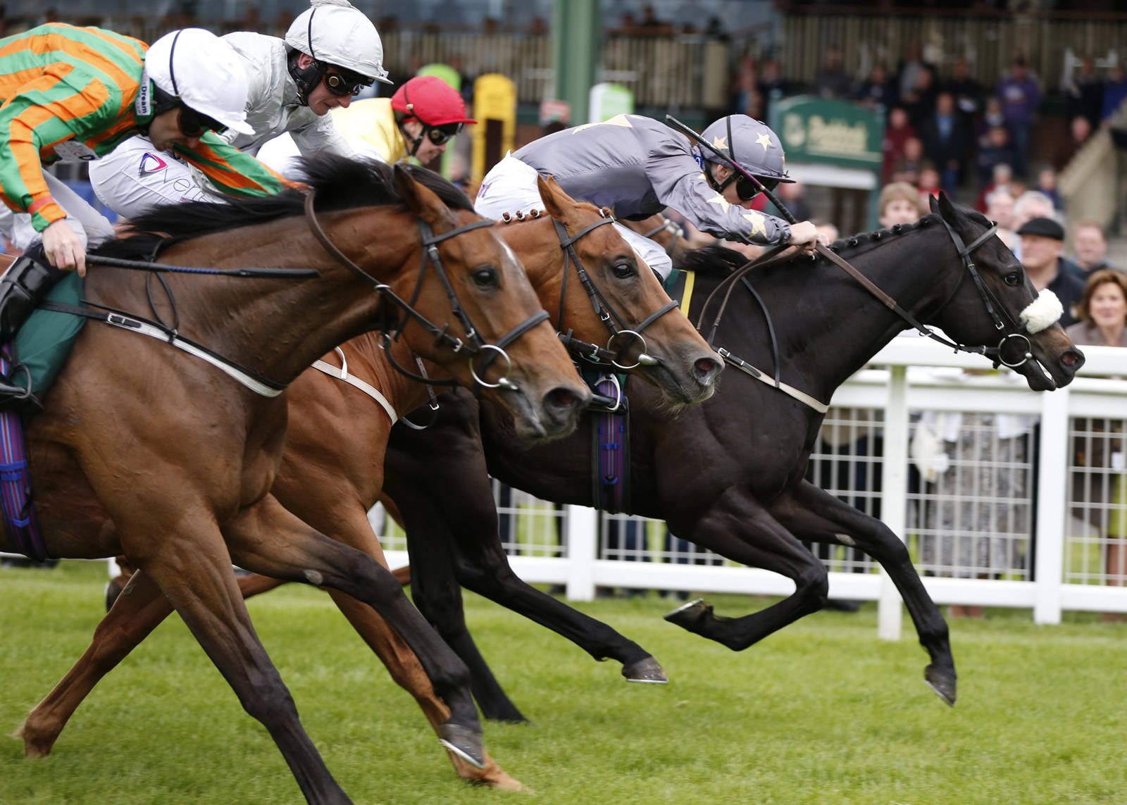 Image name ripon races finish the 4 image from the post Tourist questions: "Do I need to buy tickets in advance to attend Ripon Races on the 22nd July 2023?" in Yorkshire.com.