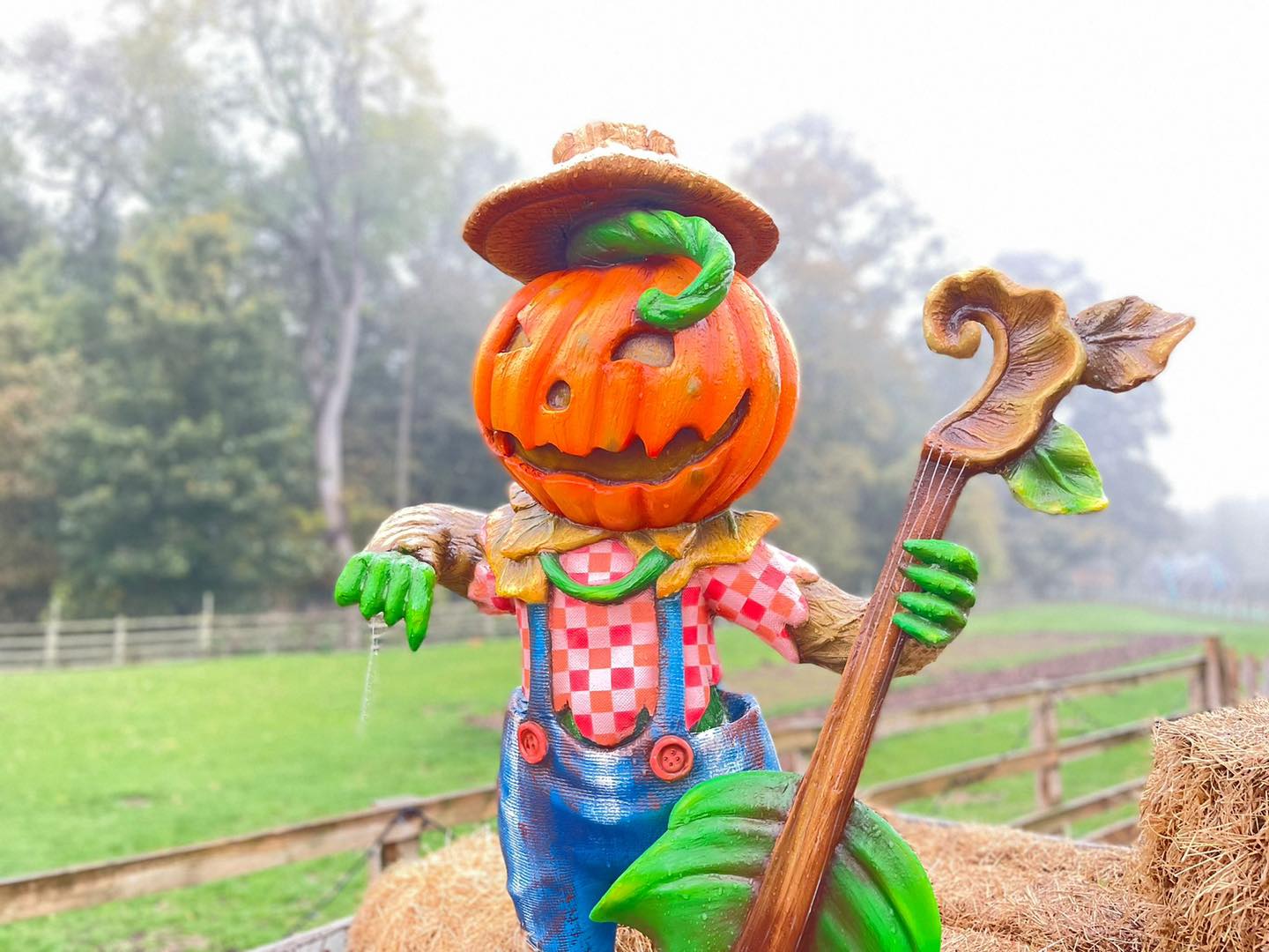 Stockeld Park Visitor Attraction image 1 pumpkin character at stockeld park, yorkshire