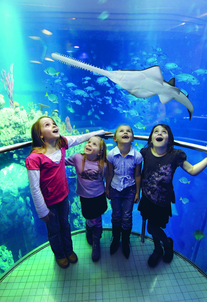 Image name the deep glass lift the 21 image from the post Six Active Autumn Activity Ideas in Yorkshire.com.