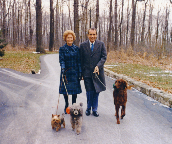 The Yorkshire Terrier Post image 6 Image name tricia nixon pasha nixons walk dogs the 4 image from the post The Yorkshire Terrier in Yorkshire.com.