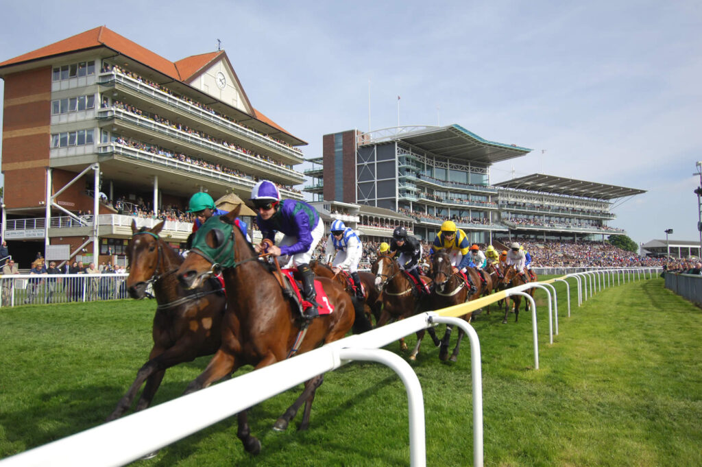 Image name york racecourse 2 the 3 image from the post Newsletter - Friday 28th July 2023 in Yorkshire.com.