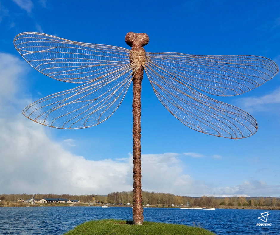 Image name Wykeham Damselfly route yc the 9 image from the post Day 10 - Christmas 2022 in Yorkshire.com.