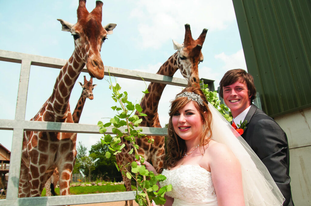 Image name abbie and david at ywp the 1 image from the post Abbie and David's Incredible Wedding at Yorkshire Wildlife Park in Yorkshire.com.