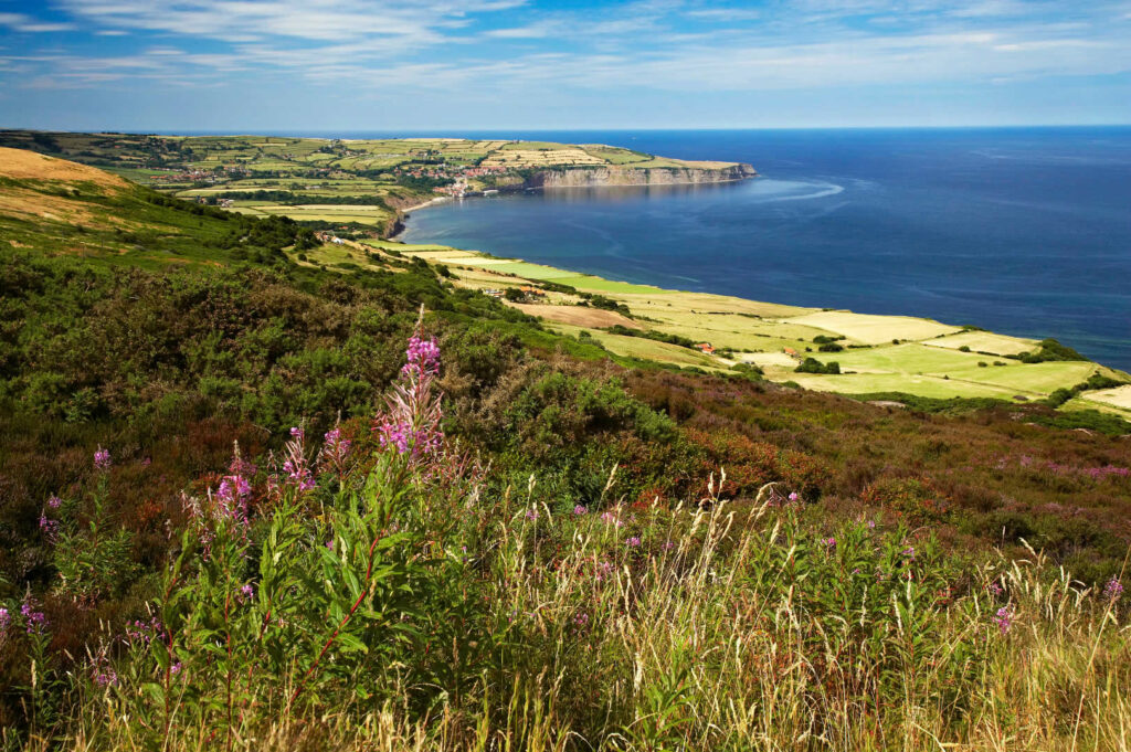 Tourist Question: How can I get my luggage transferred whilst walking the Cleveland Way? Post image 1 the cleveland way, yorkshire