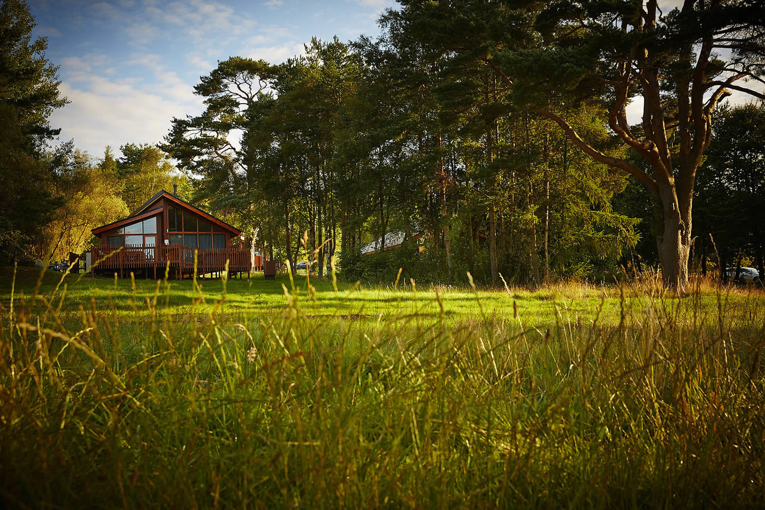 Image name cropton cabins grass the 16 image from the post 8 luxury lodges for a romantic retreat in Yorkshire.com.