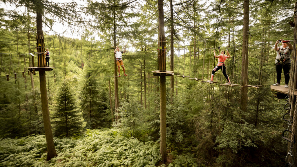 Day 7 - Christmas 2022 Post image 1 Go Ape! Dalby Forest