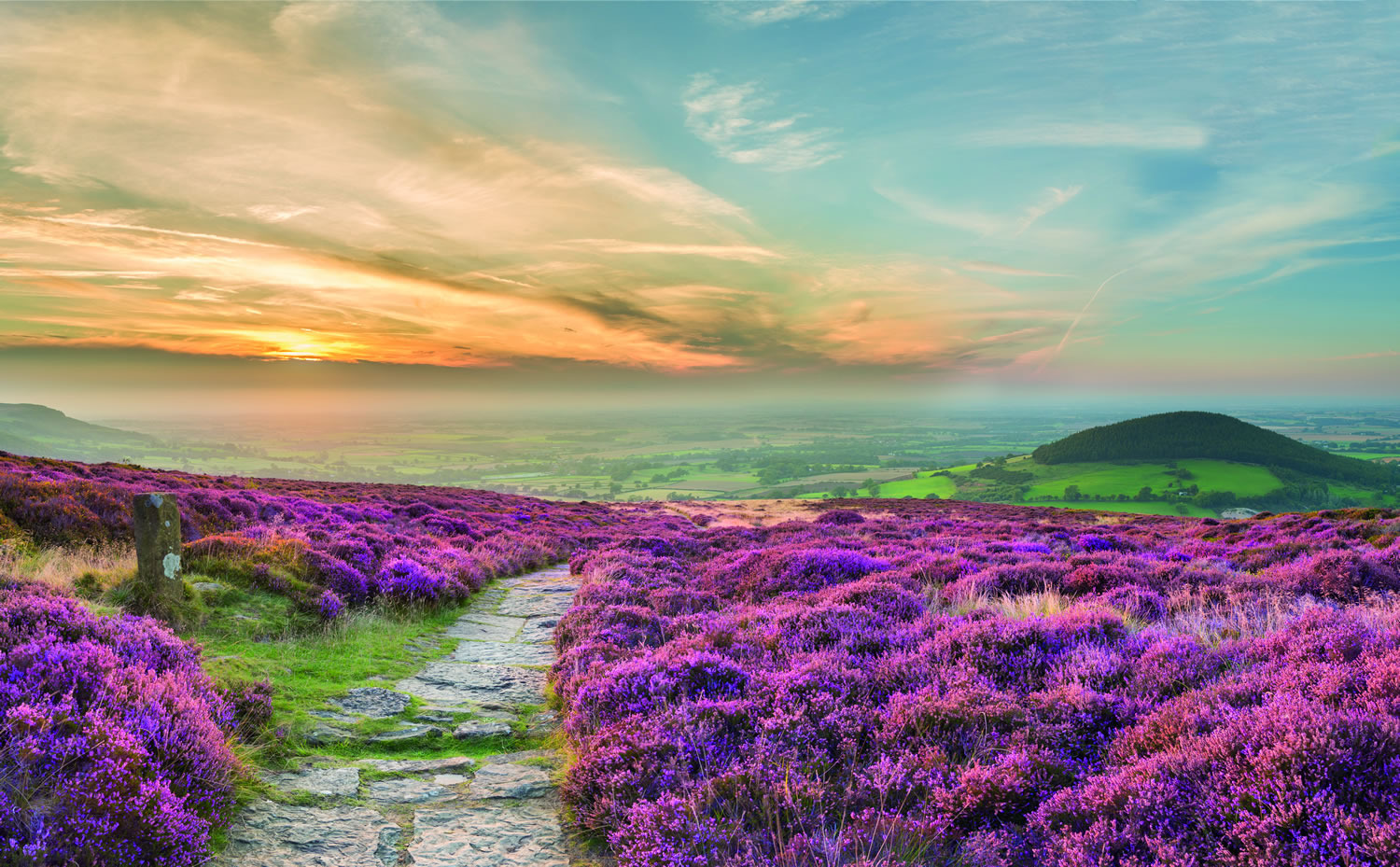 Heather and a path on North York Moors as sun rises