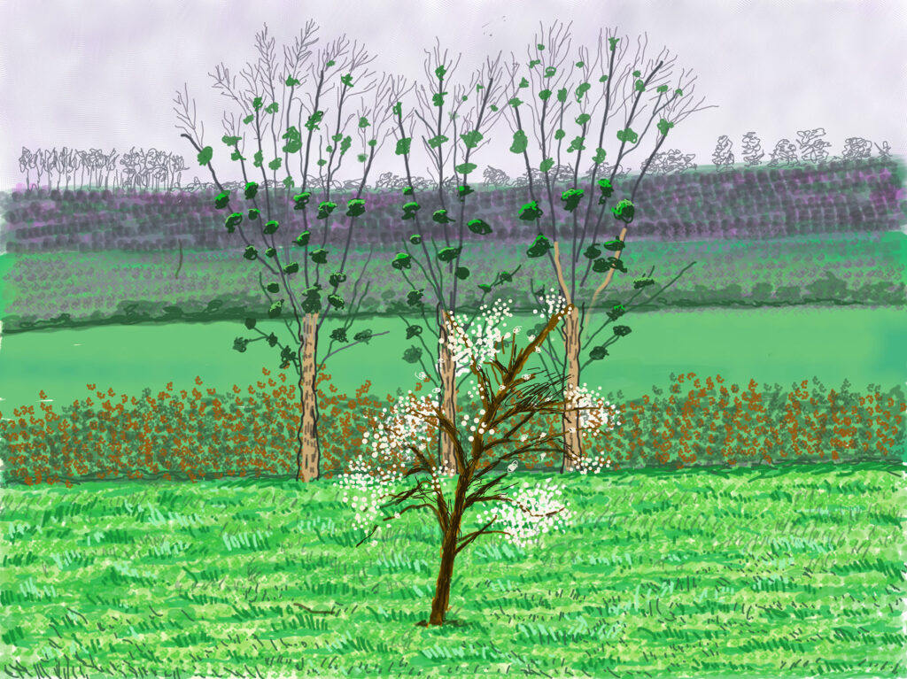 Hockney in Spring Post image 4 Image name number 132 23rd march 2020 ipad drawing david hockney the 4 image from the post Hockney in Spring in Yorkshire.com.