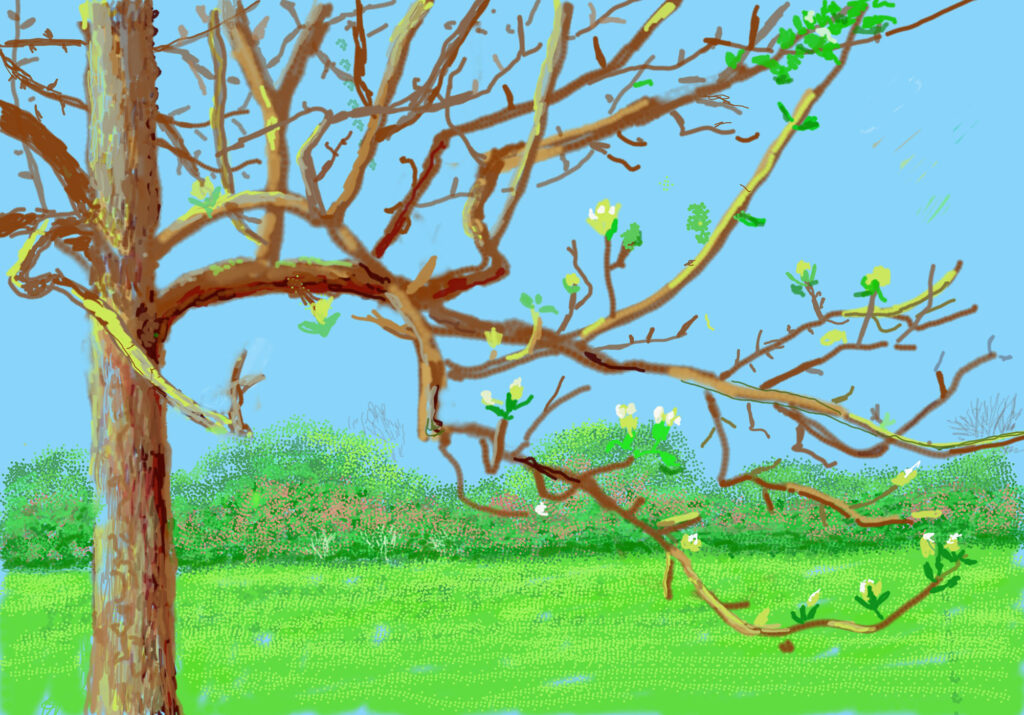 Hockney in Spring Post image 5 Image name number 139 25th march 2020 ipad drawing david hockney the 5 image from the post Hockney in Spring in Yorkshire.com.