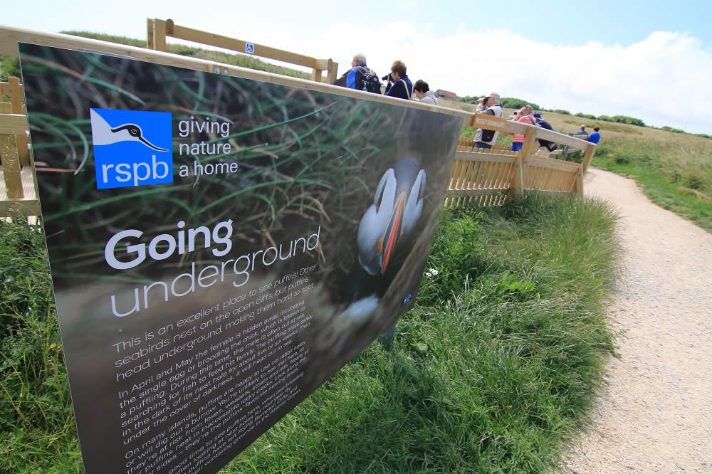 Yorkshire Nature Triangle Post image 3 Image name signage at rspb bempton c tom marshall the 3 image from the post Yorkshire Nature Triangle in Yorkshire.com.