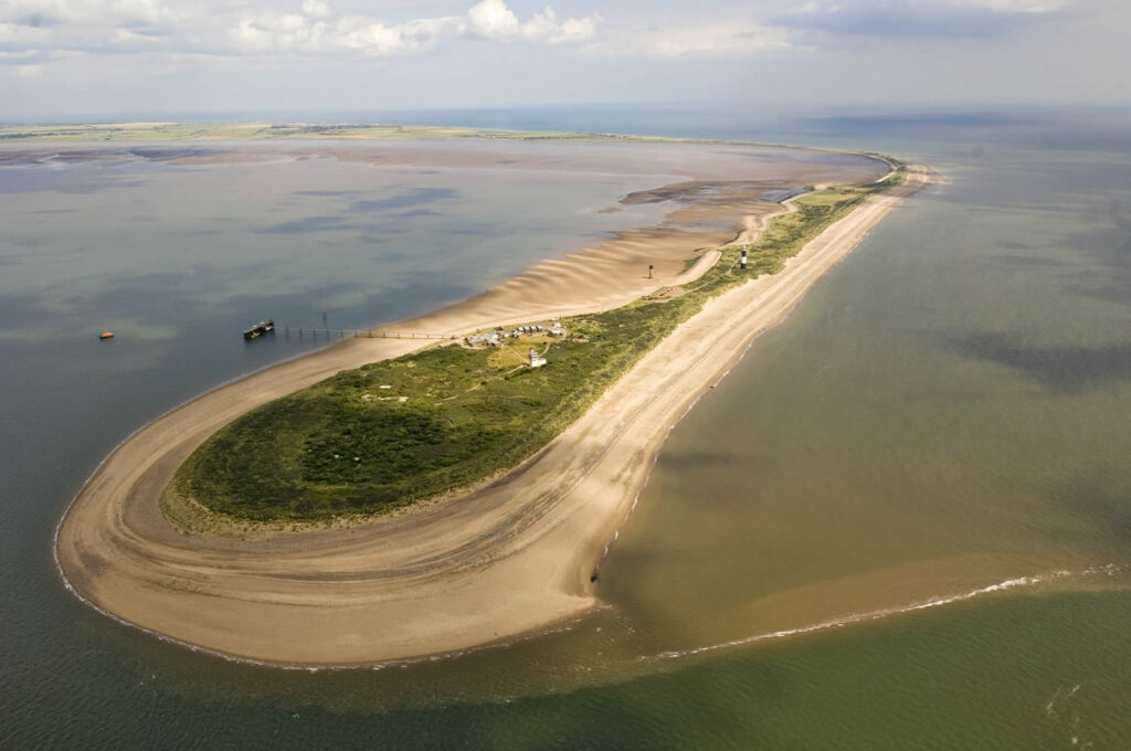 Yorkshire Nature Triangle Post image 1 Image name spurn nnr david nichols the 1 image from the post Yorkshire Nature Triangle in Yorkshire.com.