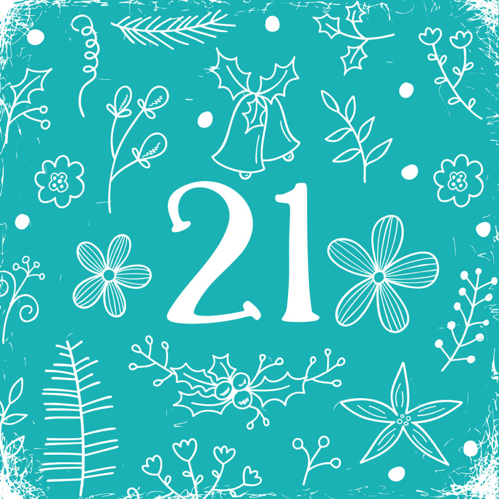 Advent Calendar 2022 Post image 14 Image name yorkshire advent calendar 2022 day 21 the 14 image from the post Advent Calendar 2022 in Yorkshire.com.