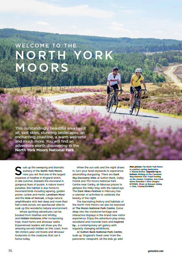 This Is Y Magazine - 2020 Edition Product image 6 This Is Y Magazine - 2020 Edition - Image 6