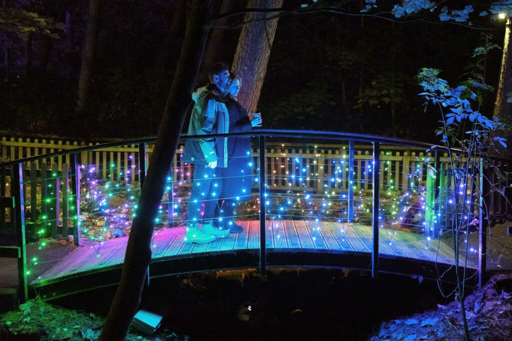 Day 15 - Christmas 2022 Post image 4 Image name light show bridge the 4 image from the post Day 15 - Christmas 2022 in Yorkshire.com.