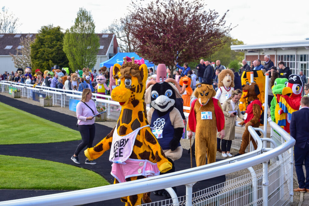 Wetherby Racecourse Visitor Attraction image 9 Image name 240422 Mascot Race 0129 the 9 image from the post Wetherby Racecourse in Yorkshire.com.