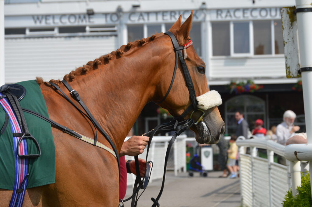 Image name Catterick DSC 0324 the 7 image from the post Catterick Racecourse in Yorkshire.com.